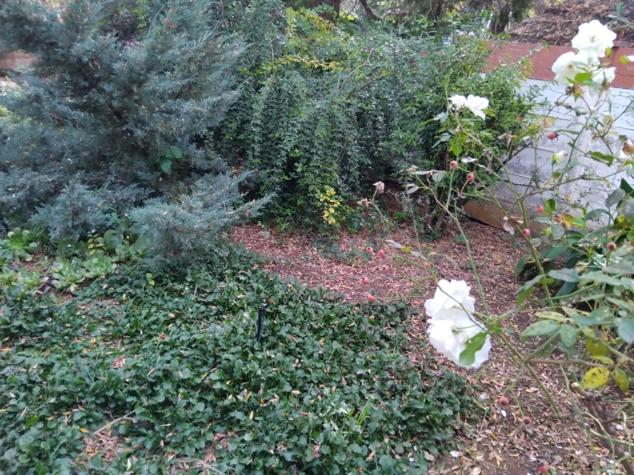 3 Bedroom Property for Sale in Wilkoppies North West